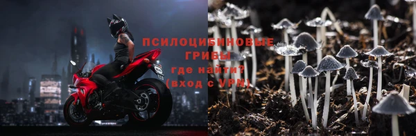 МДПВ Алексеевка