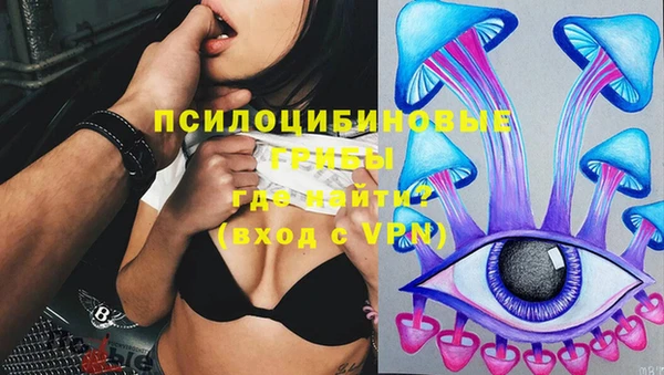 МДПВ Алексин
