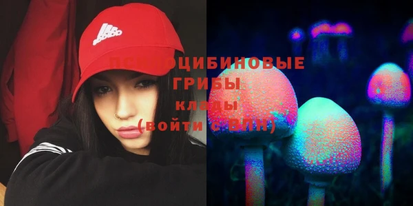 МДПВ Алексин