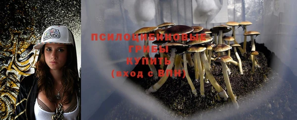 МДПВ Алексин