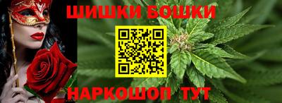 сатива Новокубанск