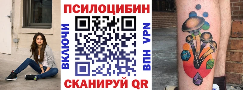 что такое наркотик  Усолье-Сибирское  Псилоцибиновые грибы Psilocybe 