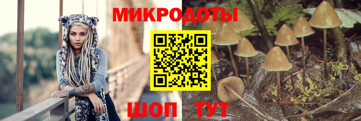 Псилоцибиновые грибы GOLDEN TEACHER Усолье-Сибирское